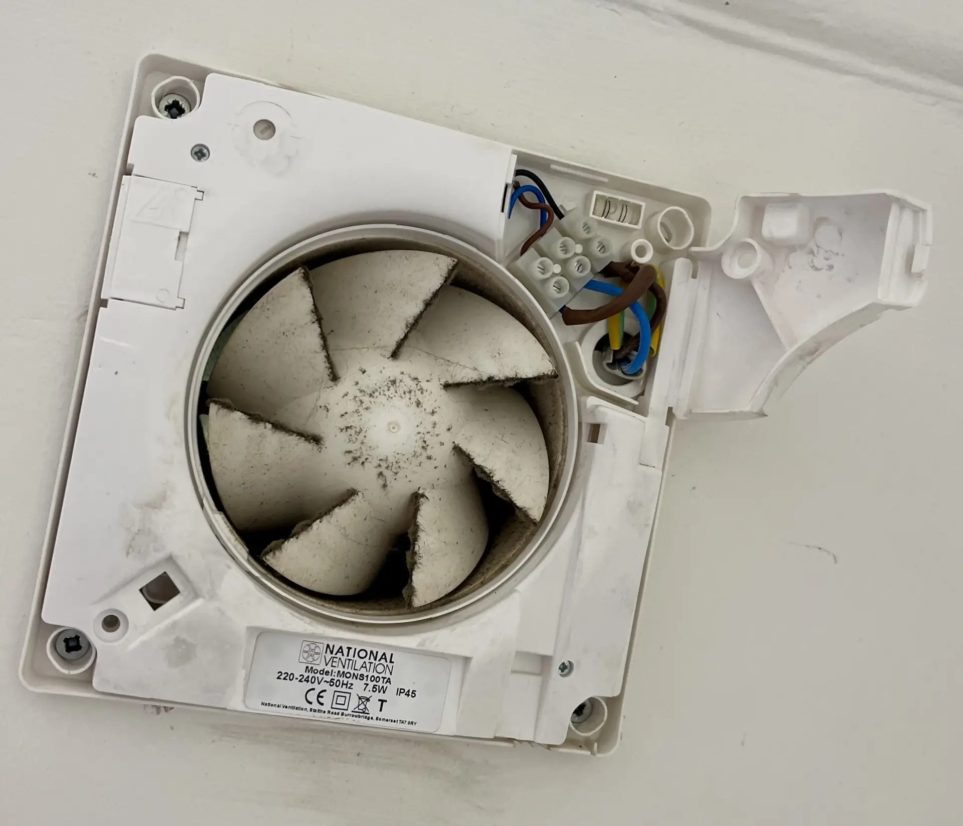 The Fan That Saved the Day